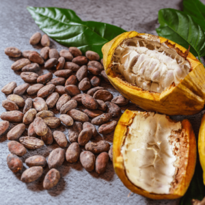 bienfaits de la fève de cacao torréfiée: des précautions à prendre