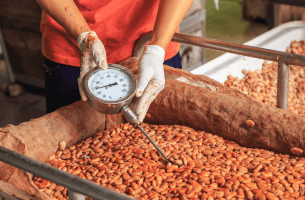 FÈVES DE CACAO FERMENTÉES